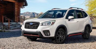 Manual SUBARU FORESTER 2019 de Usuario PDF Gratis