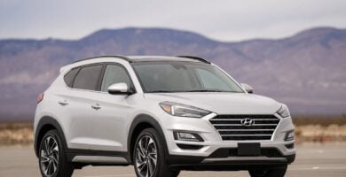 Manual HYUNDAI TUCSON 2019 de Usuario