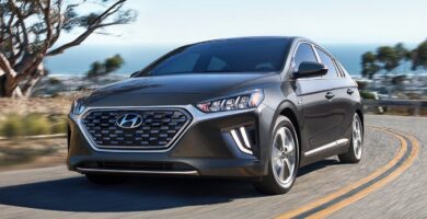 Manual HYUNDAI IONIQ PLUG-IN HYBRID 2020 de Usuario