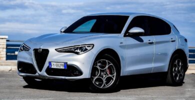 Manual ALFA ROMEO STELVIO 2020 de Usuario