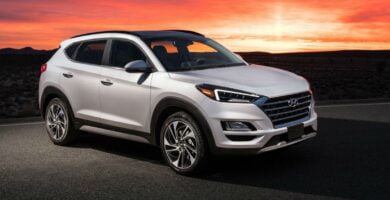 Manual HYUNDAI TUCSON 2020 de Usuario