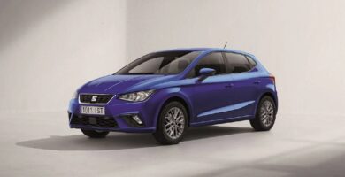 Manual SEAT IBIZA 2019 de Usuario PDF Gratis