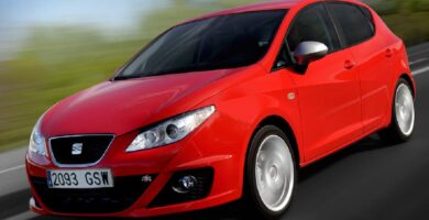 Manual SEAT IBIZA 5D 2010 de Usuario PDF Gratis