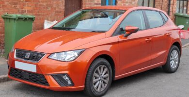 Manual SEAT IBIZA 5D 2011 de Usuario PDF Gratis