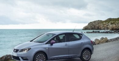 Manual SEAT IBIZA 5D 2016 de Usuario PDF Gratis