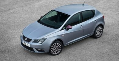 Manual SEAT IBIZA 5D 2017 de Usuario PDF Gratis