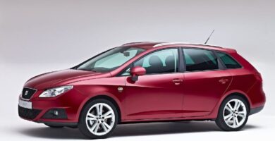 Manual SEAT IBIZA SC 2010 de Usuario PDF Gratis