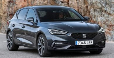 Manual SEAT LEON 2020 de Usuario PDF Gratis