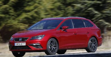 Manual SEAT LEON SPORTSTOURNER 2019 de Usuario PDF Gratis