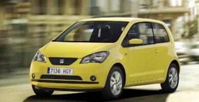 Manual SEAT MII 2014 de Usuario PDF Gratis