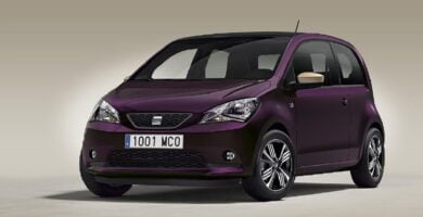 Manual SEAT MII 2016 de Usuario PDF Gratis