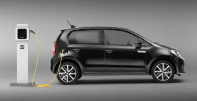 Manual SEAT MII ELECTRIC 2020 de Usuario PDF Gratis