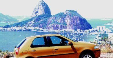 Manual FIAT PALIO 2001 PDF GRATIS ???? de Usuario