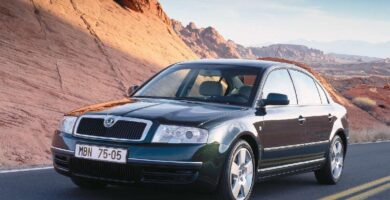 Manual SKODA SUPERB 2004 de Usuario PDF Gratis