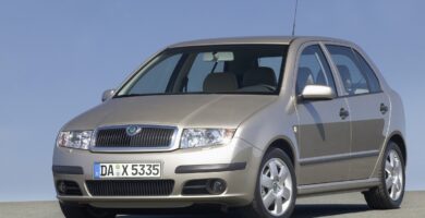 Manual SKODA FABIA 2005 de Usuario PDF Gratis