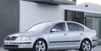 Manual SKODA OCTAVIA 2005 de Usuario PDF Gratis