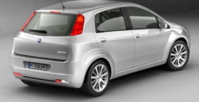 Manual FIAT GRANDE PUNTO 2006 PDF GRATIS ???? de Usuario