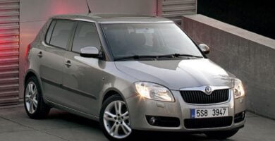 Manual SKODA FABIA 2007 de Usuario PDF Gratis