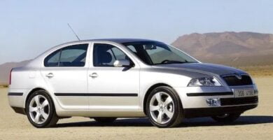 Manual SKODA OCTAVIA 2007 de Usuario PDF Gratis