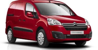 Manual CITROËN BERLINGO FIRST 2008 PDF GRATIS ???? de Usuario