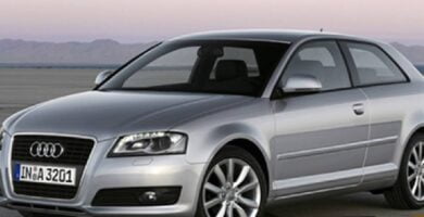 Manual AUDI A3 2009 PDF GRATIS ???? de Usuario