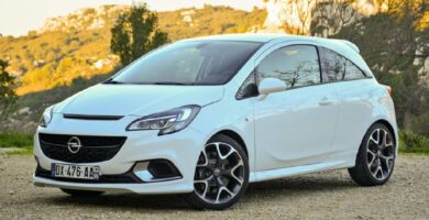 Manual OPEL CORSA D 2009 de Usuario PDF Gratis