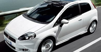 Manual FIAT GRANDE PUNTO 2009 PDF GRATIS ???? de Usuario