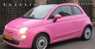 Manual FIAT 500 2010 PDF GRATIS ???? de Usuario