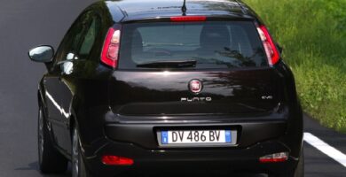 Manual FIAT PUNTO EVO 2010 PDF GRATIS ???? de Usuario