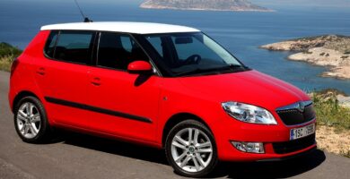 Manual SKODA FABIA 2010 de Usuario PDF Gratis