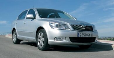 Manual SKODA OCTAVIA 2010 de Usuario PDF Gratis