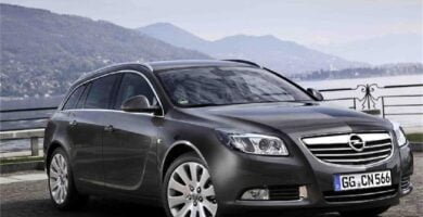 Manual OPEL INSIGNIA 2011 de Usuario PDF Gratis