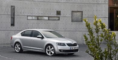 Manual SKODA OCTAVIA 2012 de Usuario PDF Gratis