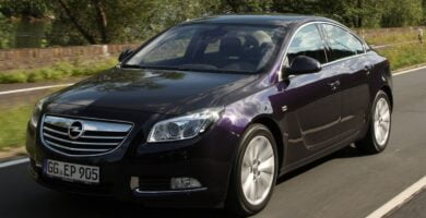 Manual OPEL INSIGNIA 2013 de Usuario PDF Gratis