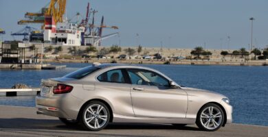 Manual BMW 228i Coupe 2014 de Usuario