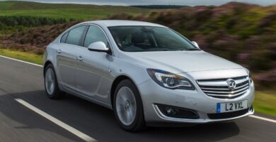 Manual OPEL INSIGNIA 2014 de Usuario PDF Gratis