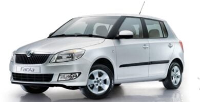 Manual SKODA FABIA 2014 de Usuario PDF Gratis