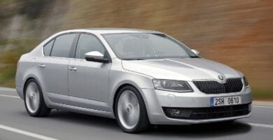 Manual SKODA OCTAVIA 2014 de Usuario PDF Gratis