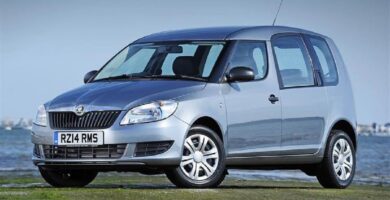 Manual SKODA ROOMSTER 2014 de Usuario PDF Gratis