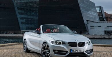 Manual BMW 2 Series Convertible 2015 de Usuario