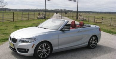 Manual BMW 228i xDrive Convertible 2015 de Usuario