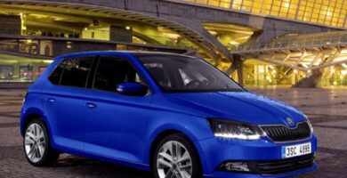 Manual SKODA FABIA 2015 de Usuario PDF Gratis