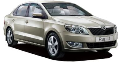 Manual SKODA RAPID 2015 de Usuario PDF Gratis