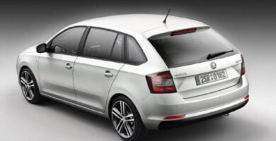 Manual SKODA RAPID SPACEBACK 2015 de Usuario PDF Gratis