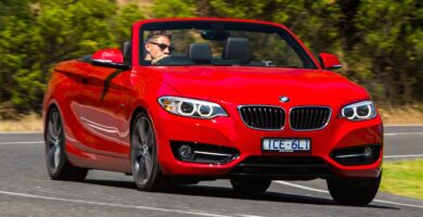 Manual BMW 2 Series Convertible 2016 de Usuario