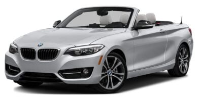 Manual BMW 228i xDrive Convertible 2016 de Usuario