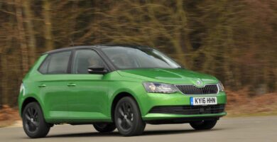 Manual SKODA FABIA 2016 de Usuario PDF Gratis