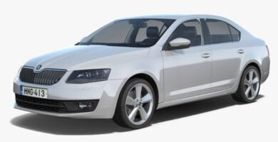 Manual SKODA OCTAVIA 2016 de Usuario PDF Gratis