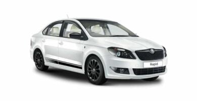 Manual SKODA RAPID 2016 de Usuario PDF Gratis