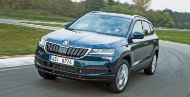 Manual SKODA KAROQ 2017 de Usuario PDF Gratis